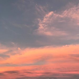 Meet your Posher, Bella